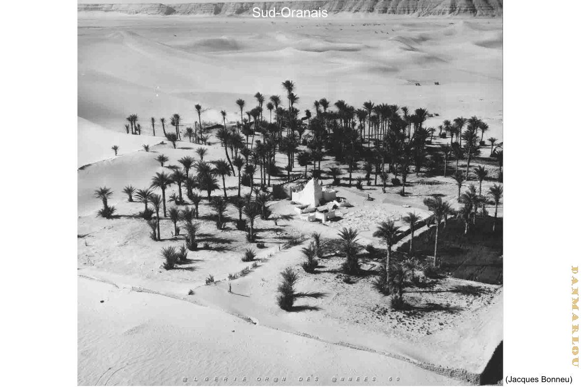 173- ARMEE DE L'AIR EN ALGERIE 1945-1962-21 (50).jpg